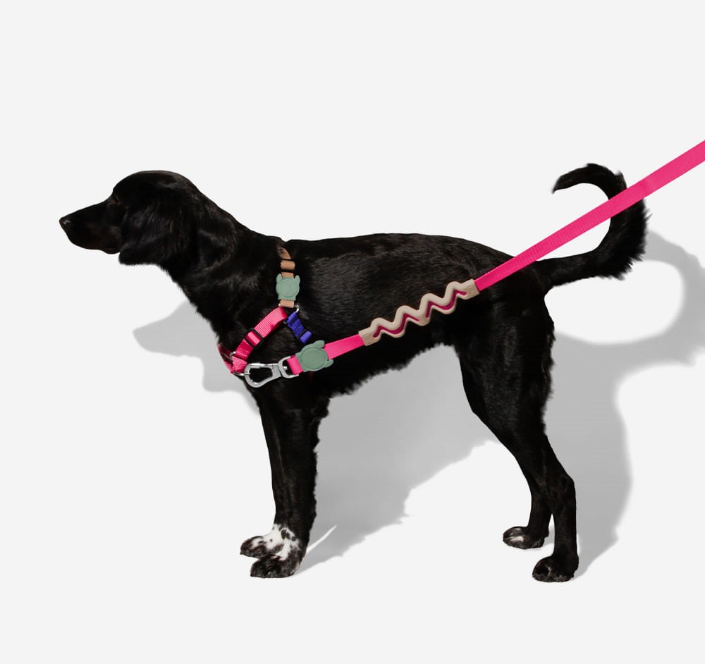 ZEEDOG SOFT WALK HARNESS YUCCA2