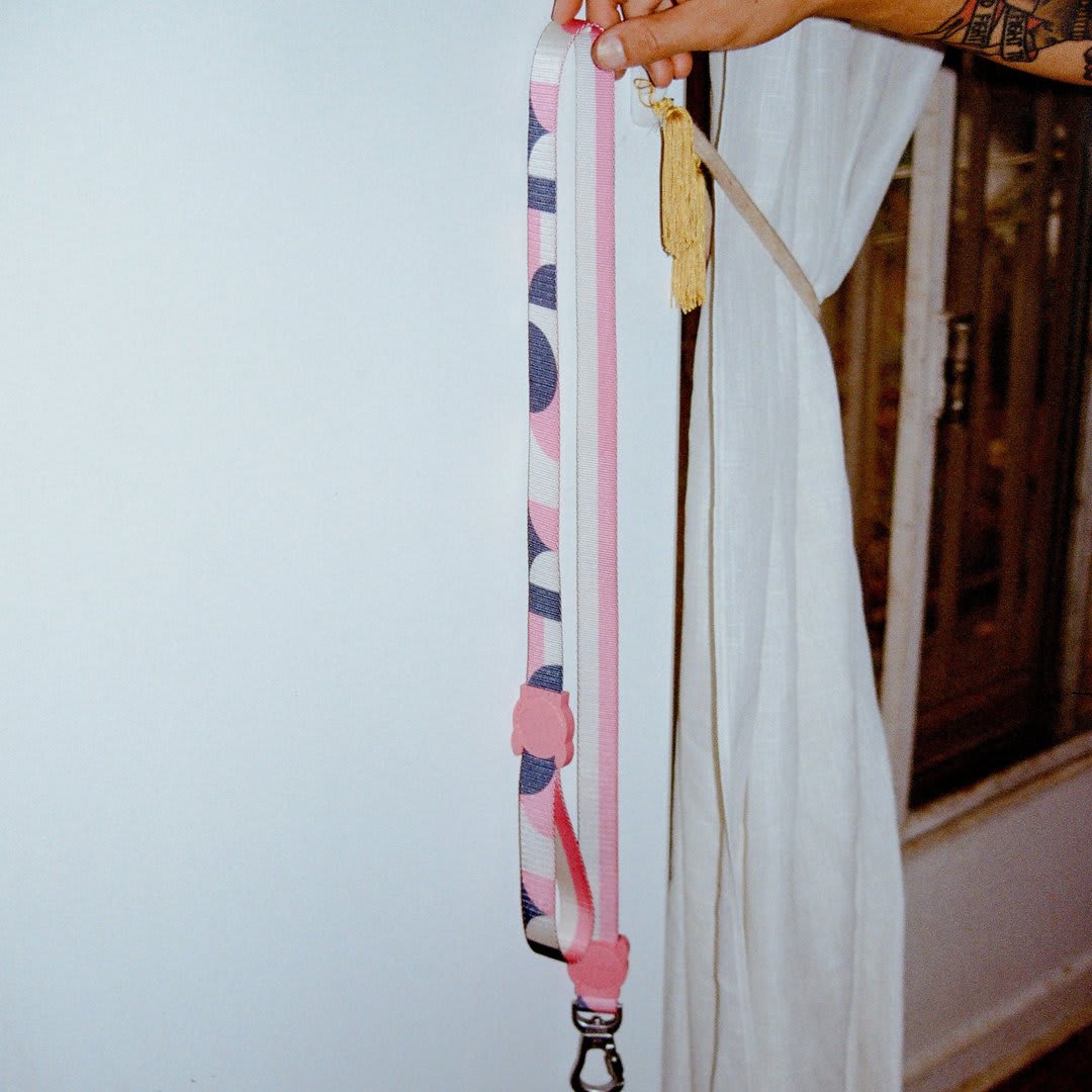 ZEEDOG CORREA SPLIT2