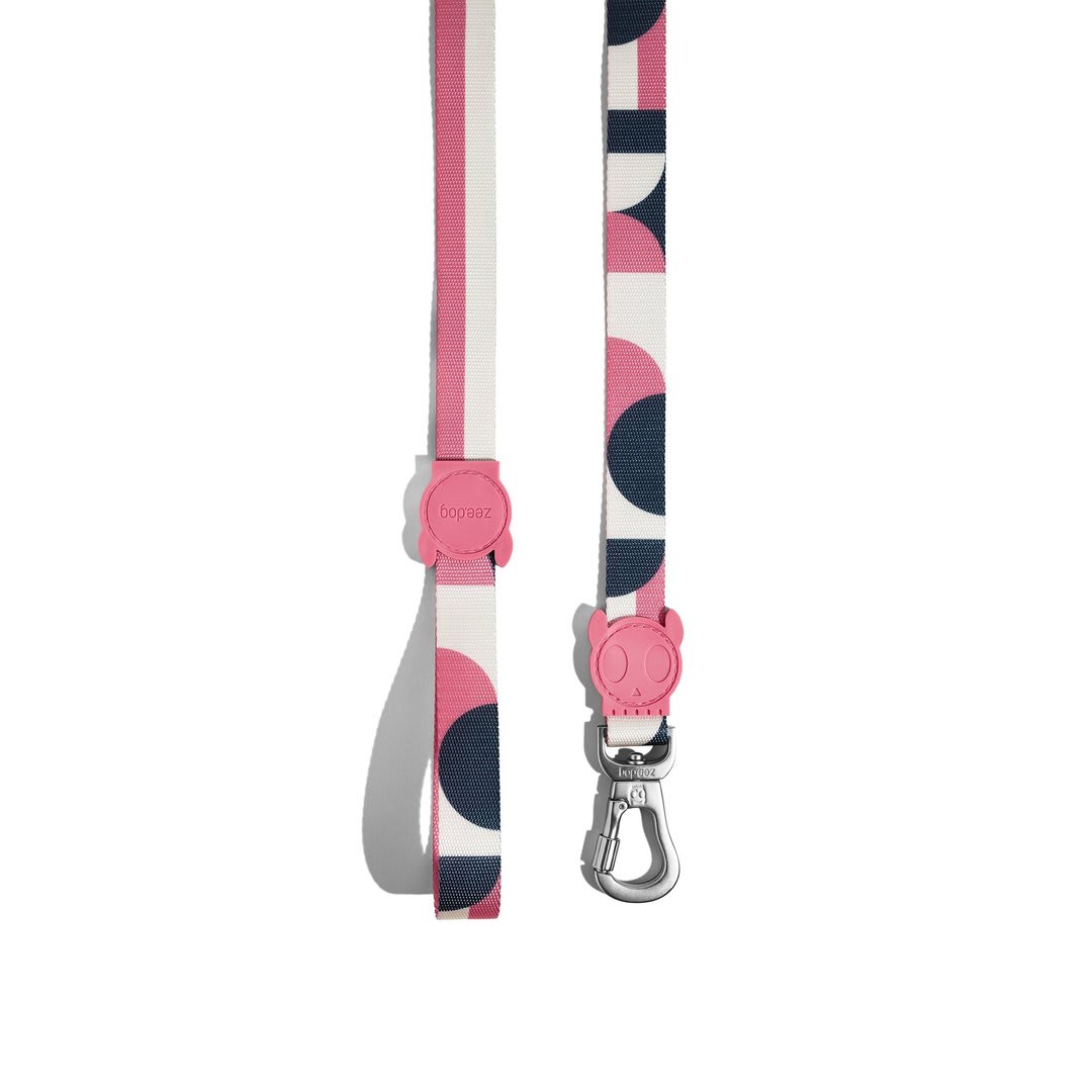 ZEEDOG CORREA SPLIT4