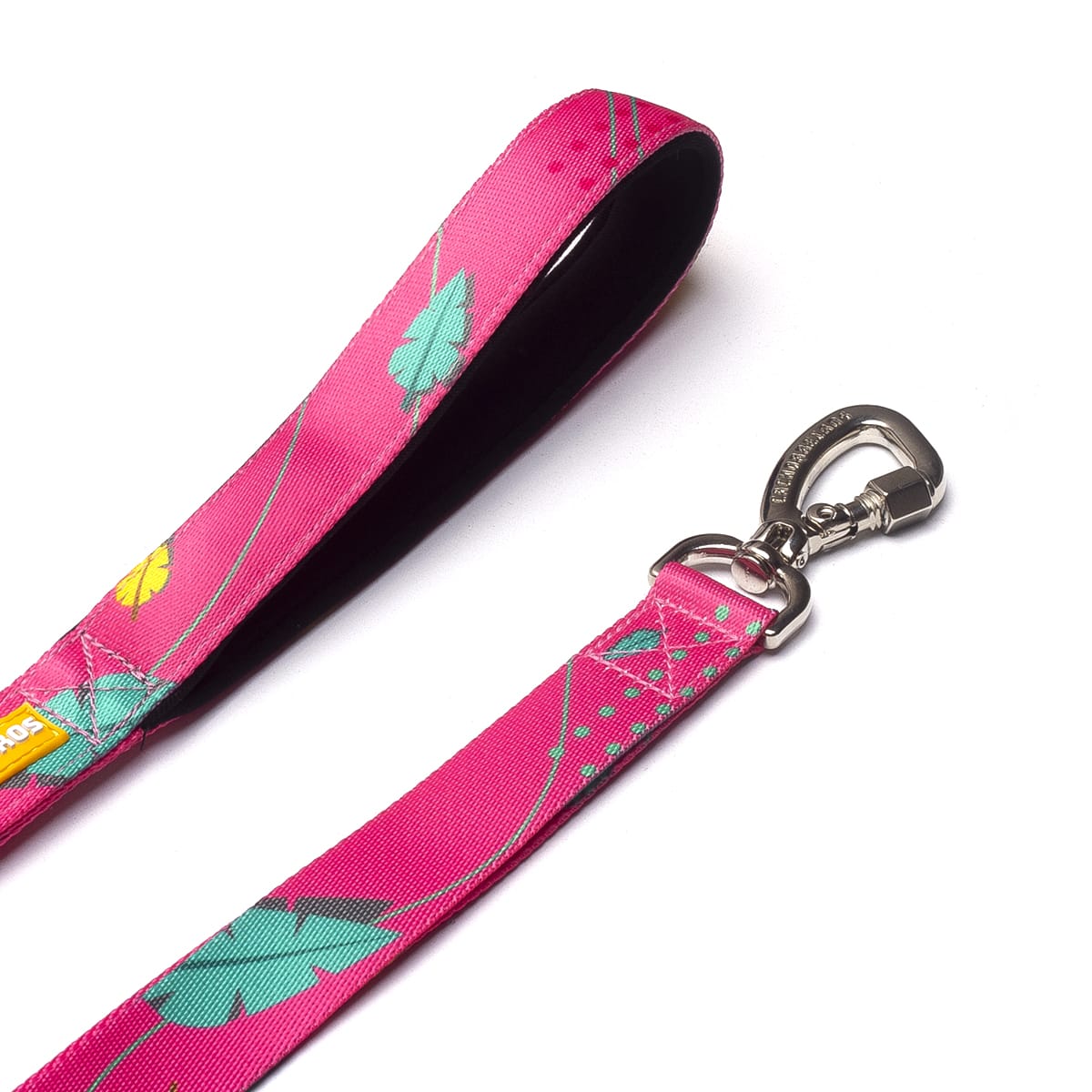 CACHORREIROS SUPER CORREA OLIVIA2