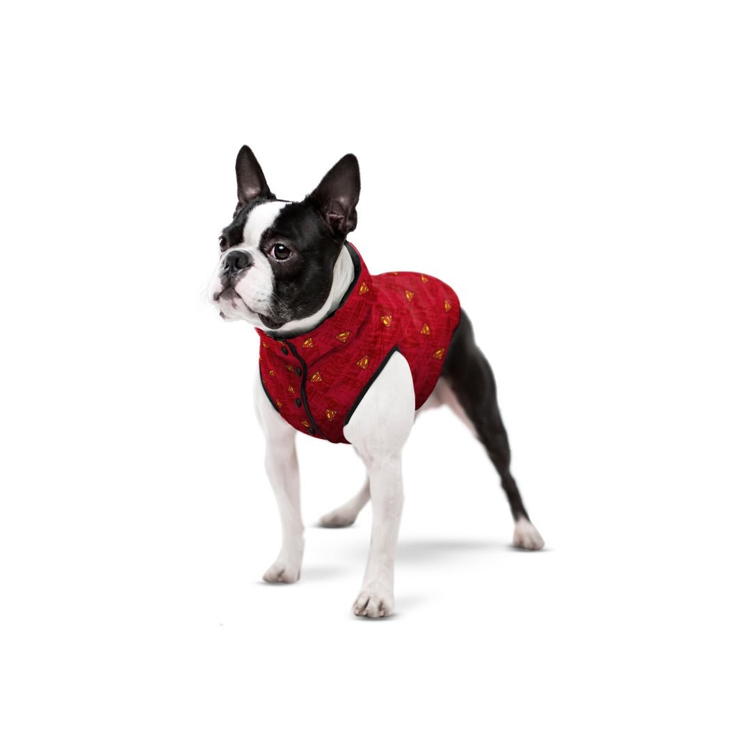 WAUDOG SUPERMAN RED DC COMICS2