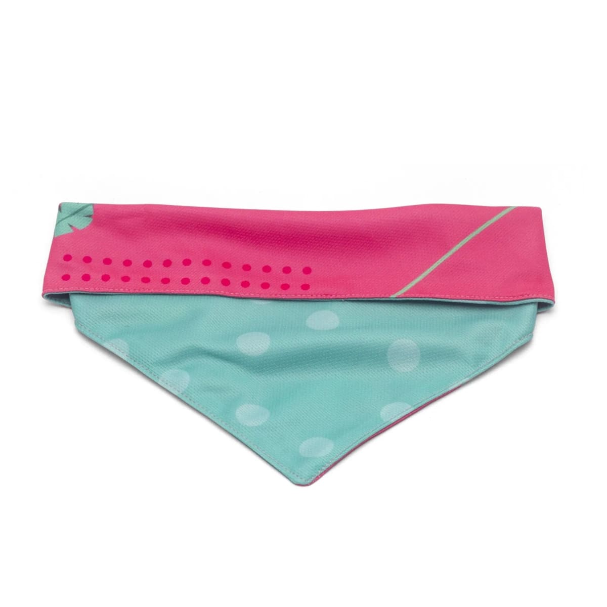 CACHORREIROS BANDANA OLIVIA6