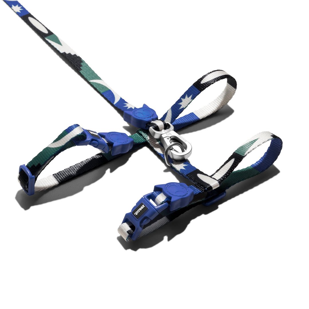 ZEECAT ARNES Y CORREA TAROT2