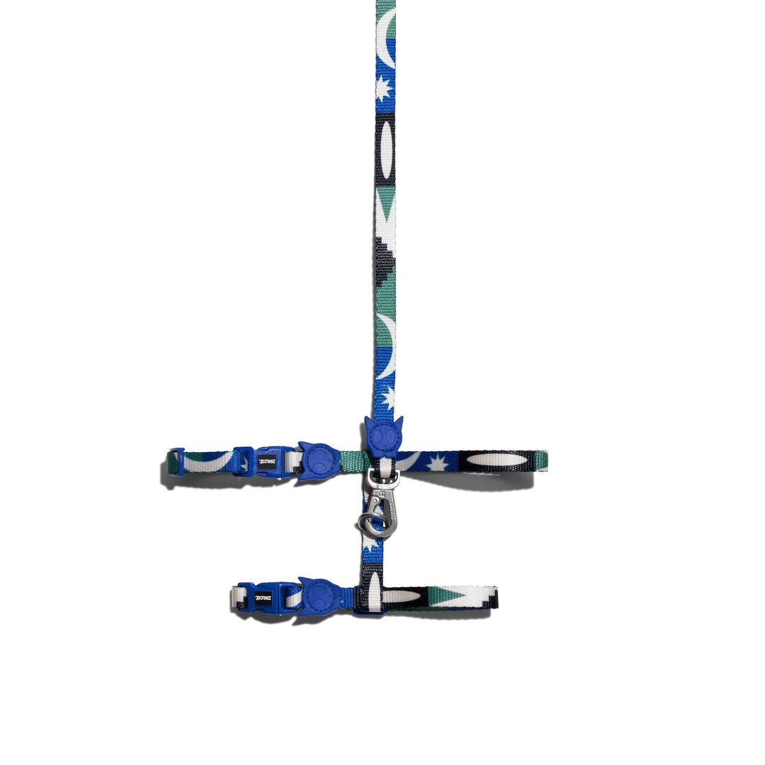 ZEECAT ARNES Y CORREA TAROT1