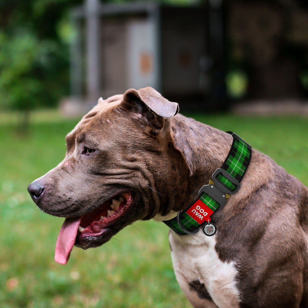 WAUDOG COLLAR TARTAR GREEN - HEBILLA FASTEX METAL - PLACA QR2
