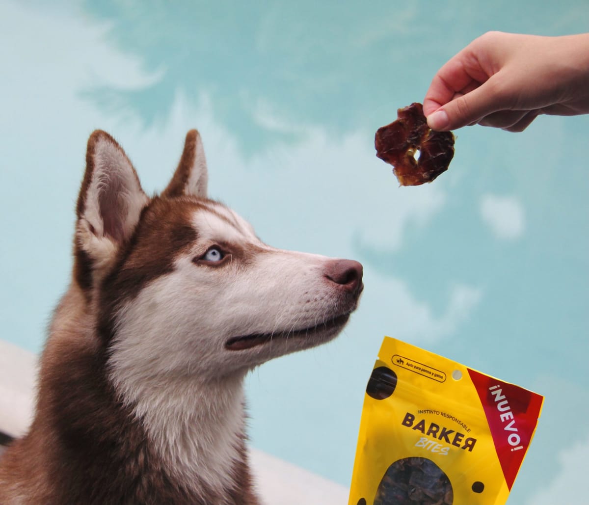 BARKER MOLLEJAS DESHIDRATADAS2