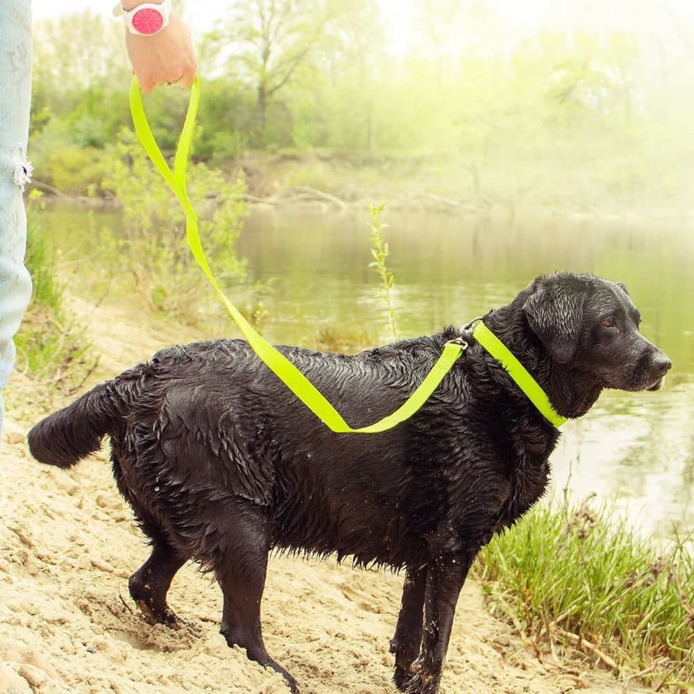 WAUDOG CORREA WATERPROOF VERDE3