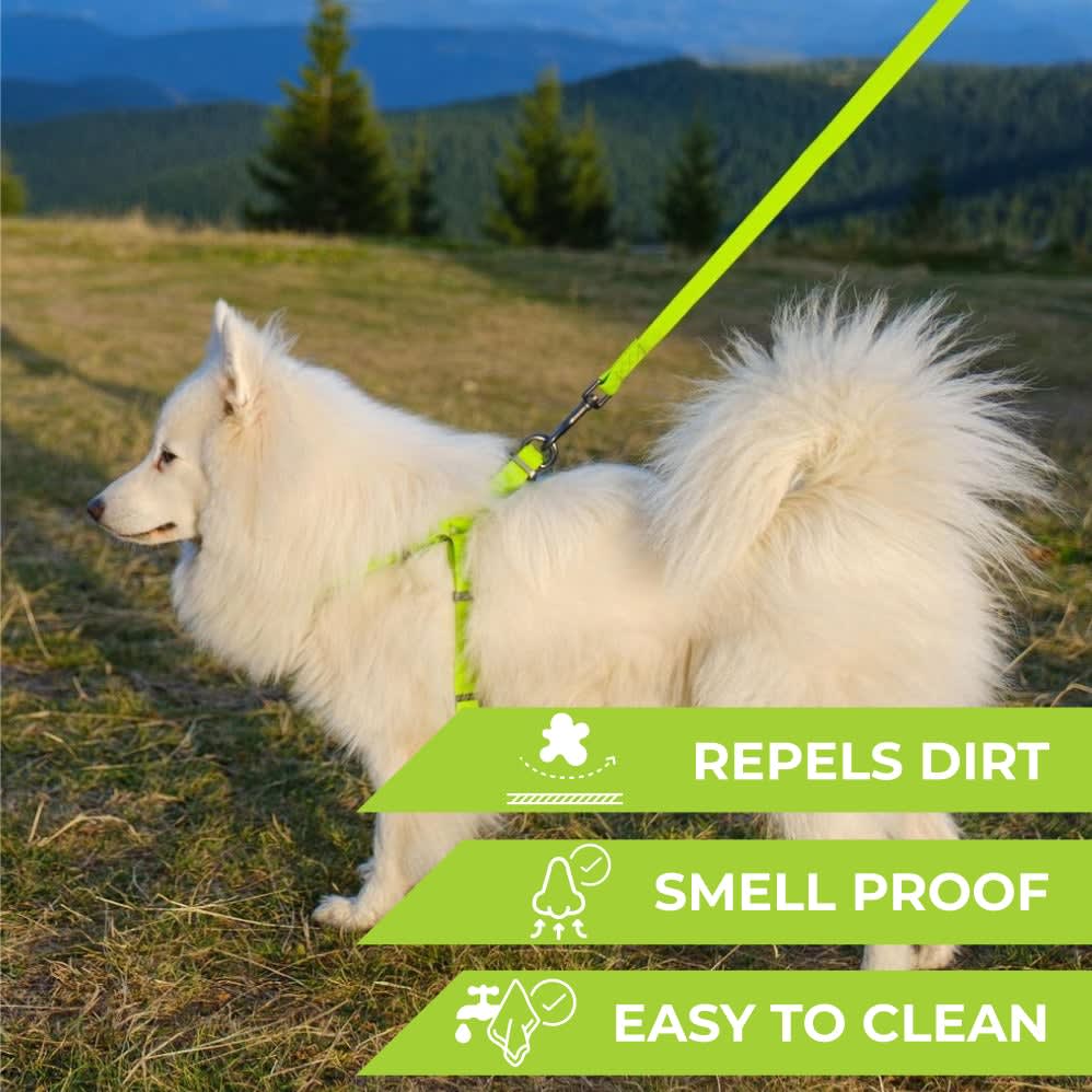 WAUDOG ARNES WATERPROOF VERDE - HEBILLA FASTEX METAL - PLACA QR2