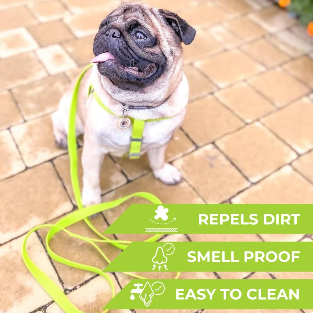 WAUDOG CORREA WATERPROOF VERDE2