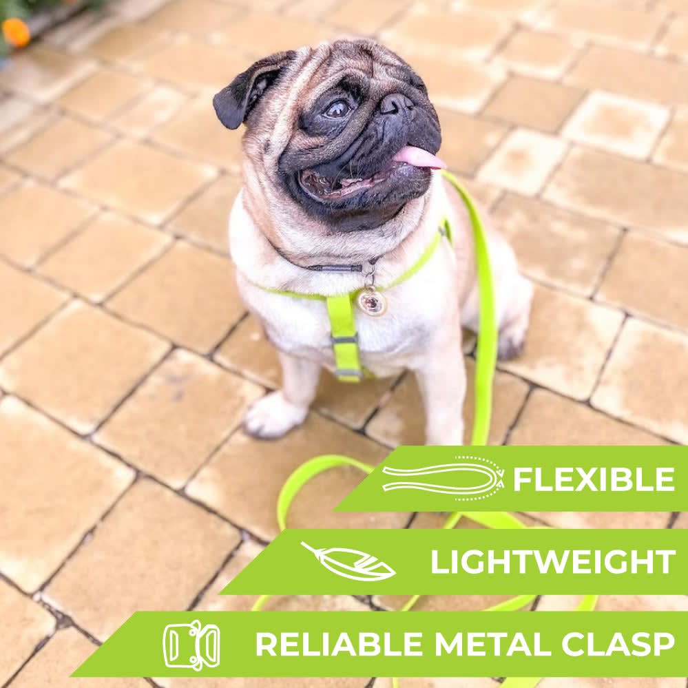 WAUDOG ARNES WATERPROOF VERDE - HEBILLA FASTEX METAL - PLACA QR3