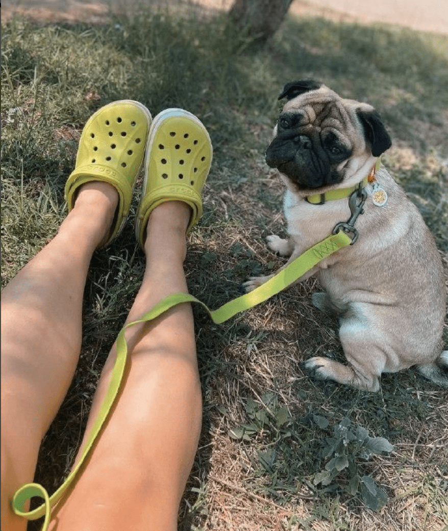 WAUDOG CORREA WATERPROOF VERDE4