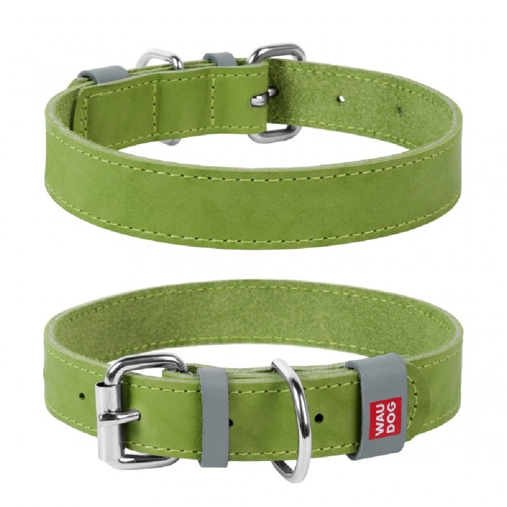 WAUDOG clásico collar verde1