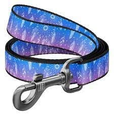 WAUDOG correa dreamcatcher1