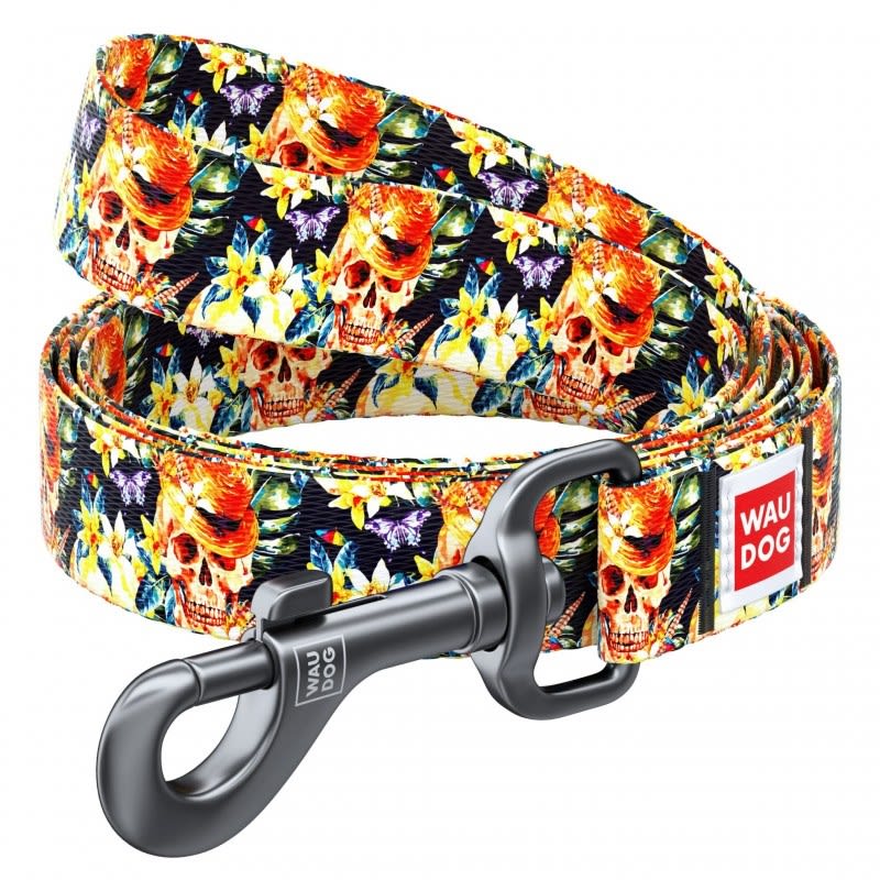 WAUDOG correa glamorous1