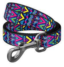 WAUDOG correa indie1