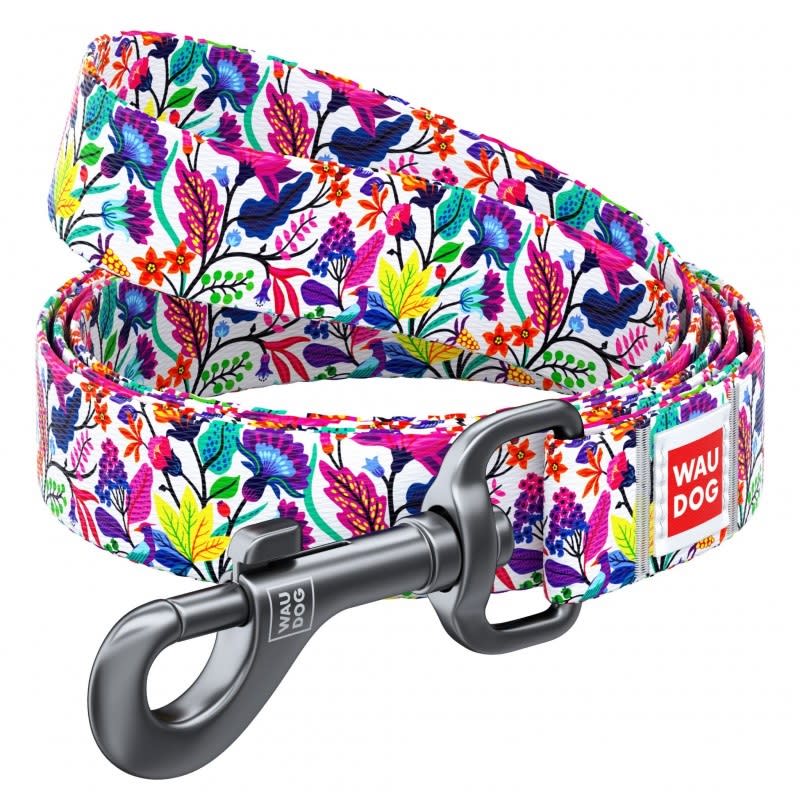 WAUDOG correa magic flowers1