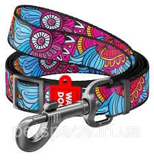 WAUDOG correa summer1