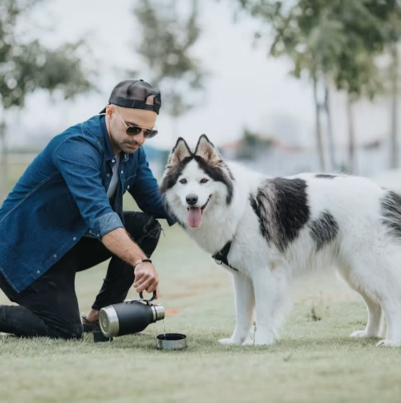 ASOBU DOG BOWL BOTTLE STAINLESS BLUE3