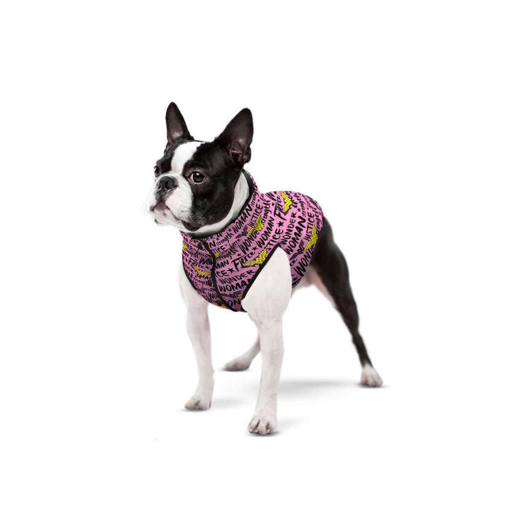 WAUDOG WONDER WOMAN PINK DC COMICS2