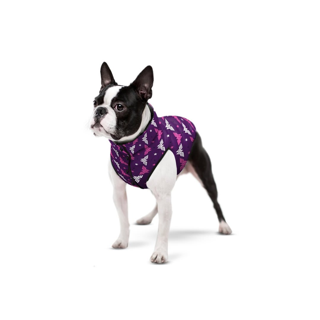WAUDOG WONDER WOMAN VIOLET DC COMICS2