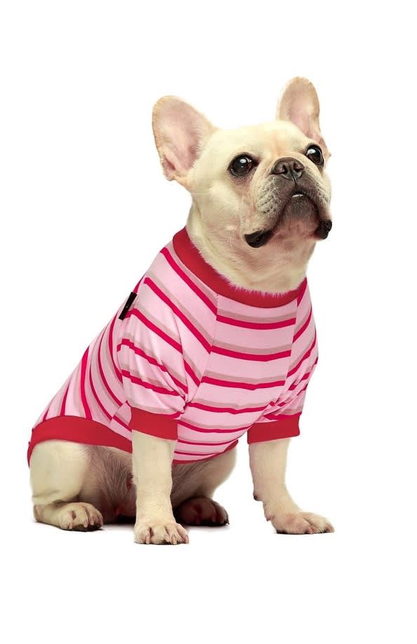 FITWARM POLO ROSADO A RAYAS MEDIUM2
