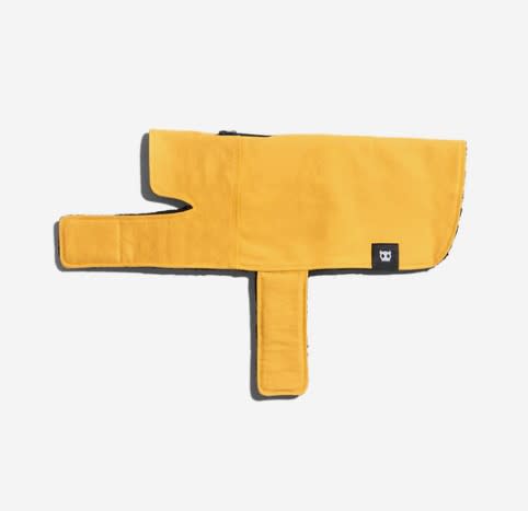 ZEEDOG COAT YELLOW - Coat Amarillo5