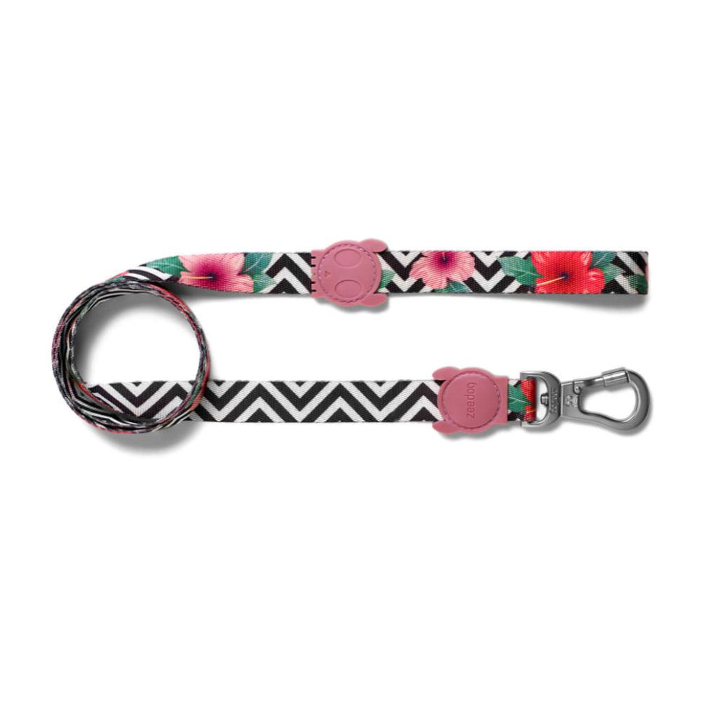 ZEEDOG CORREA MAHALO2