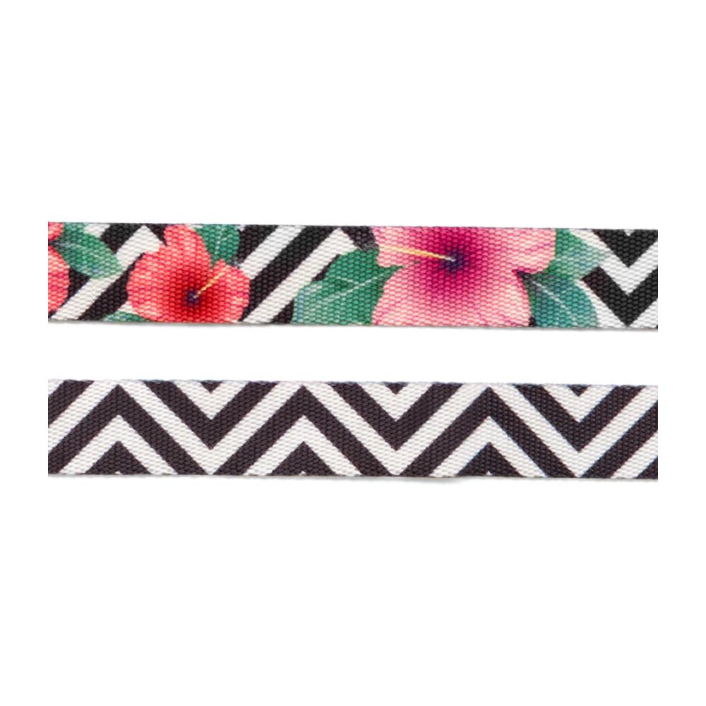 ZEEDOG CORREA MAHALO3