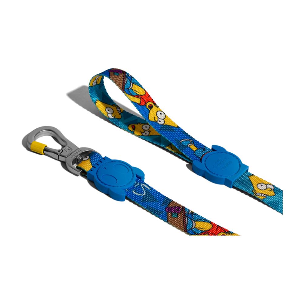 ZEEDOG CORREA BART SIMPSON4