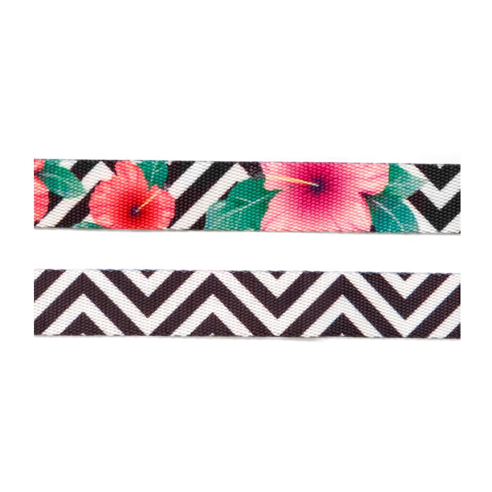 ZEEDOG COLLAR MAHALO4