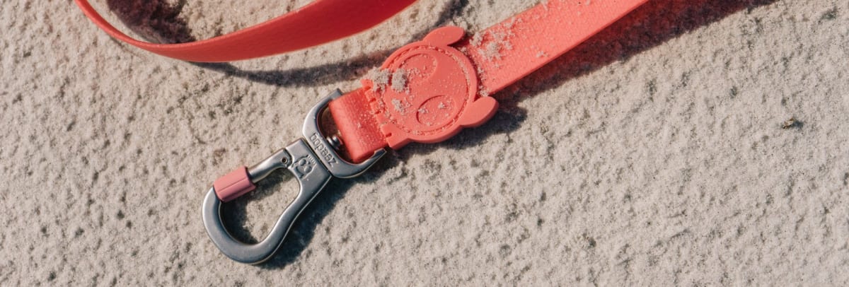 ZEEDOG CORREA NEOPRO BUBBLEGUM9