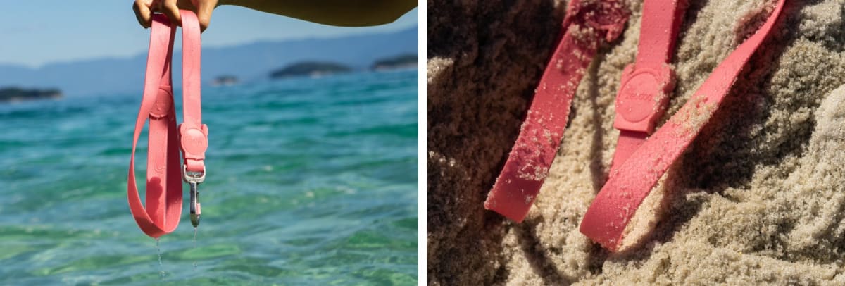 ZEEDOG CORREA NEOPRO BUBBLEGUM2