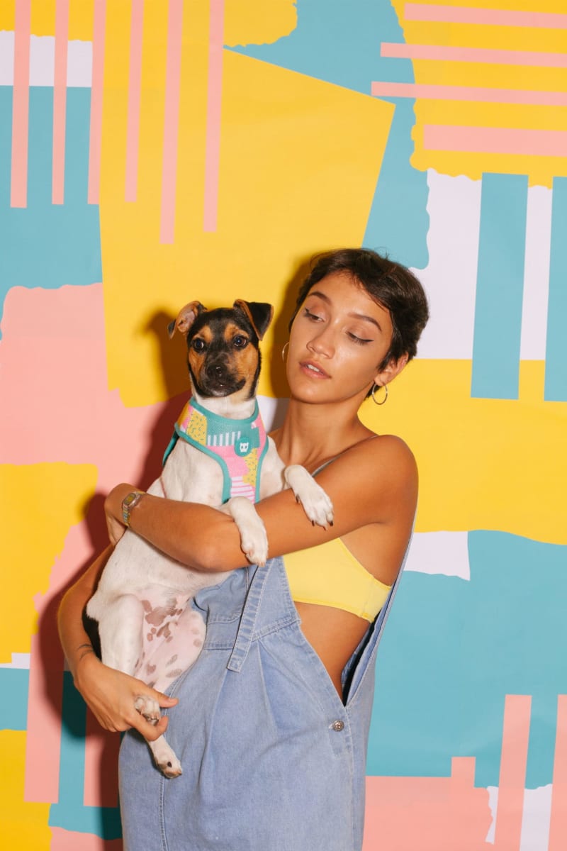 ZEEDOG SALINA PECHERA AIR MESH3