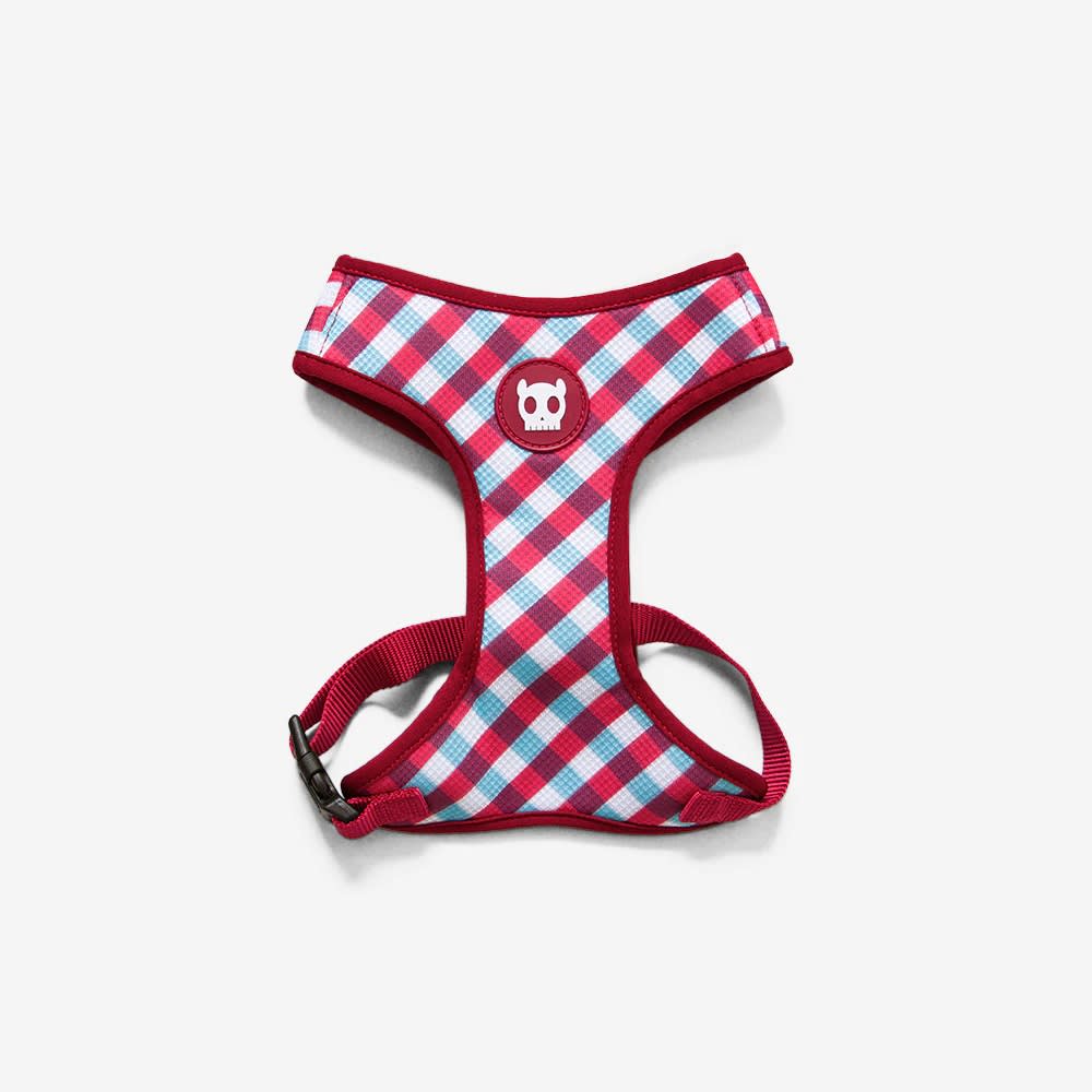 ZEEDOG GUMMY PECHERA AIR MESH1