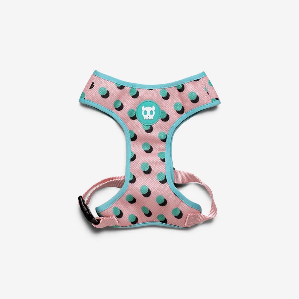 ZEEDOG POLKA PECHERA AIR MESH1