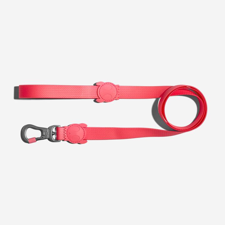 ZEEDOG CORREA NEOPRO BUBBLEGUM4