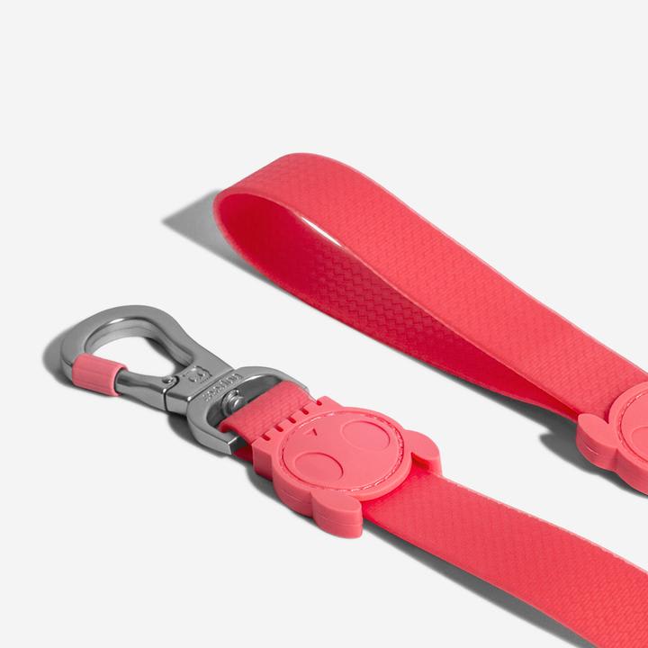 ZEEDOG CORREA NEOPRO BUBBLEGUM5