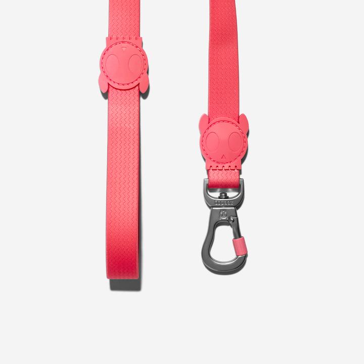 ZEEDOG CORREA NEOPRO BUBBLEGUM6