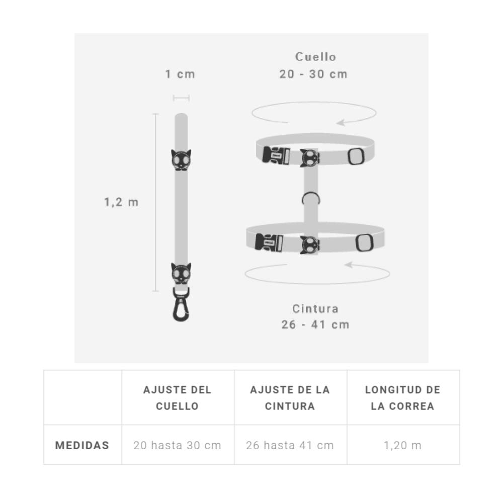 ZEECAT ARNES Y CORREA TAROT5