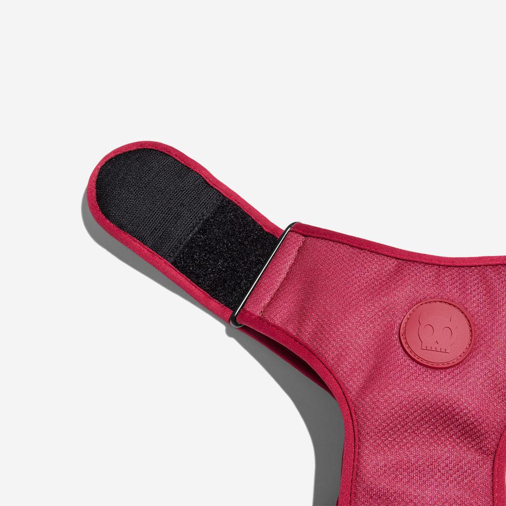 ZEEDOG BORDEAU PECHERA AIR MESH5