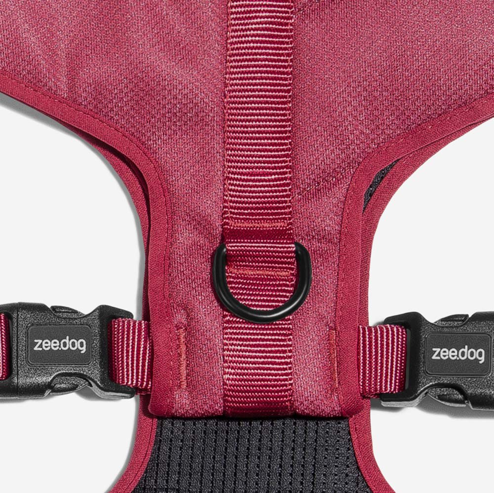 ZEEDOG BORDEAU PECHERA AIR MESH4