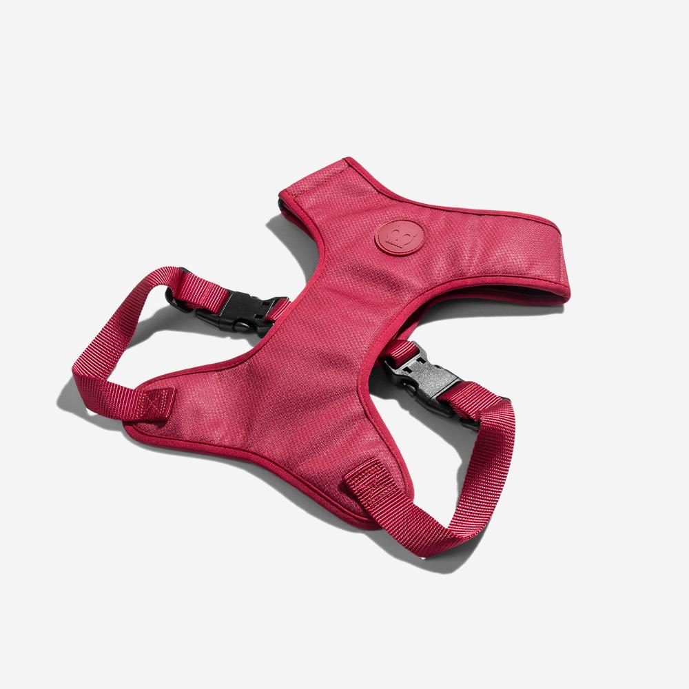 ZEEDOG BORDEAU PECHERA AIR MESH1