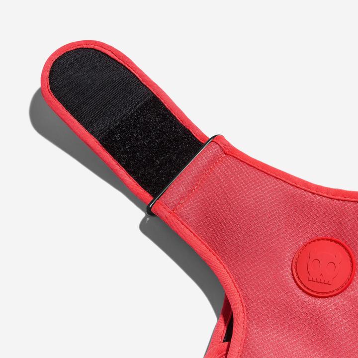 ZEEDOG NEON CORAL PECHERA AIR MESH5