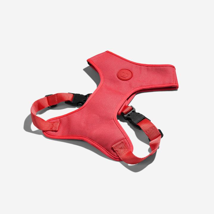 ZEEDOG NEON CORAL PECHERA AIR MESH1