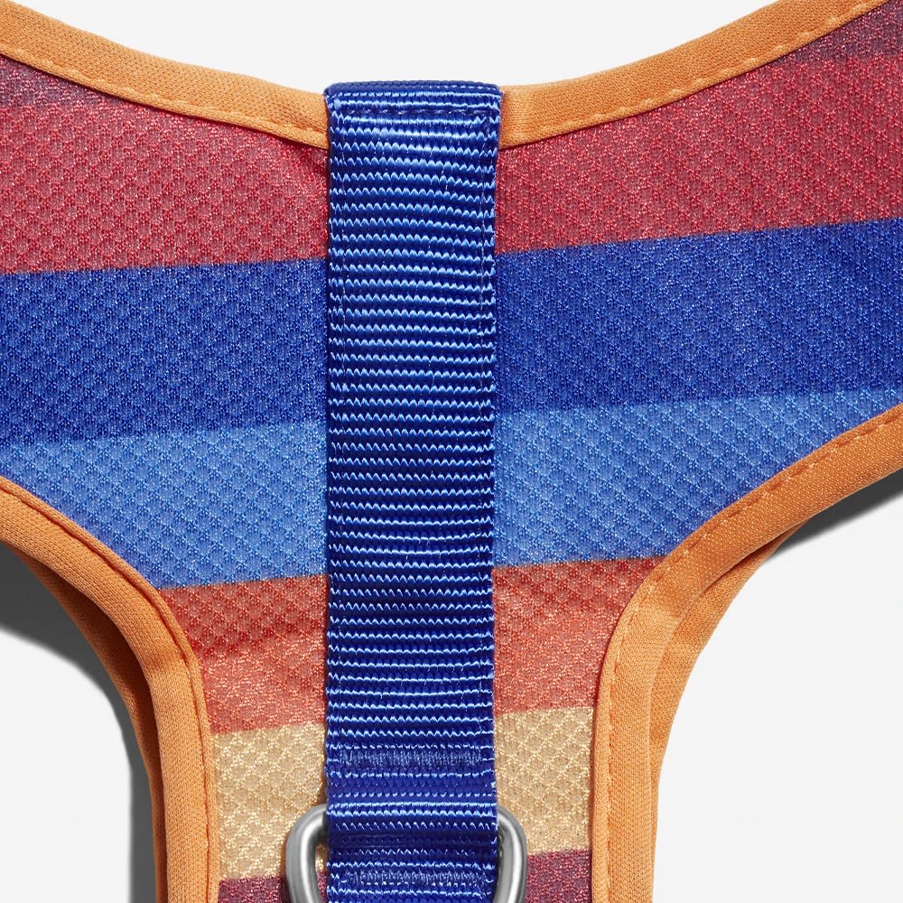 ZEEDOG PARKER PECHERA AIR MESH4
