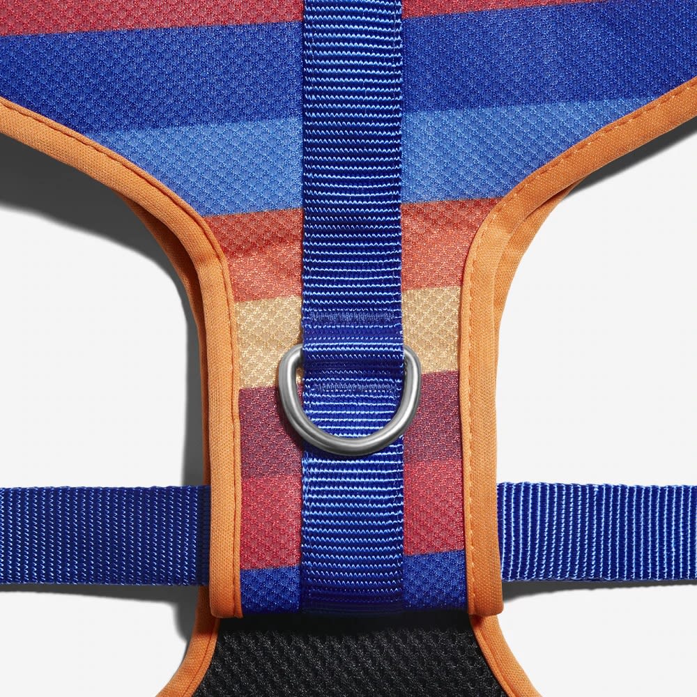 ZEEDOG PARKER PECHERA AIR MESH5