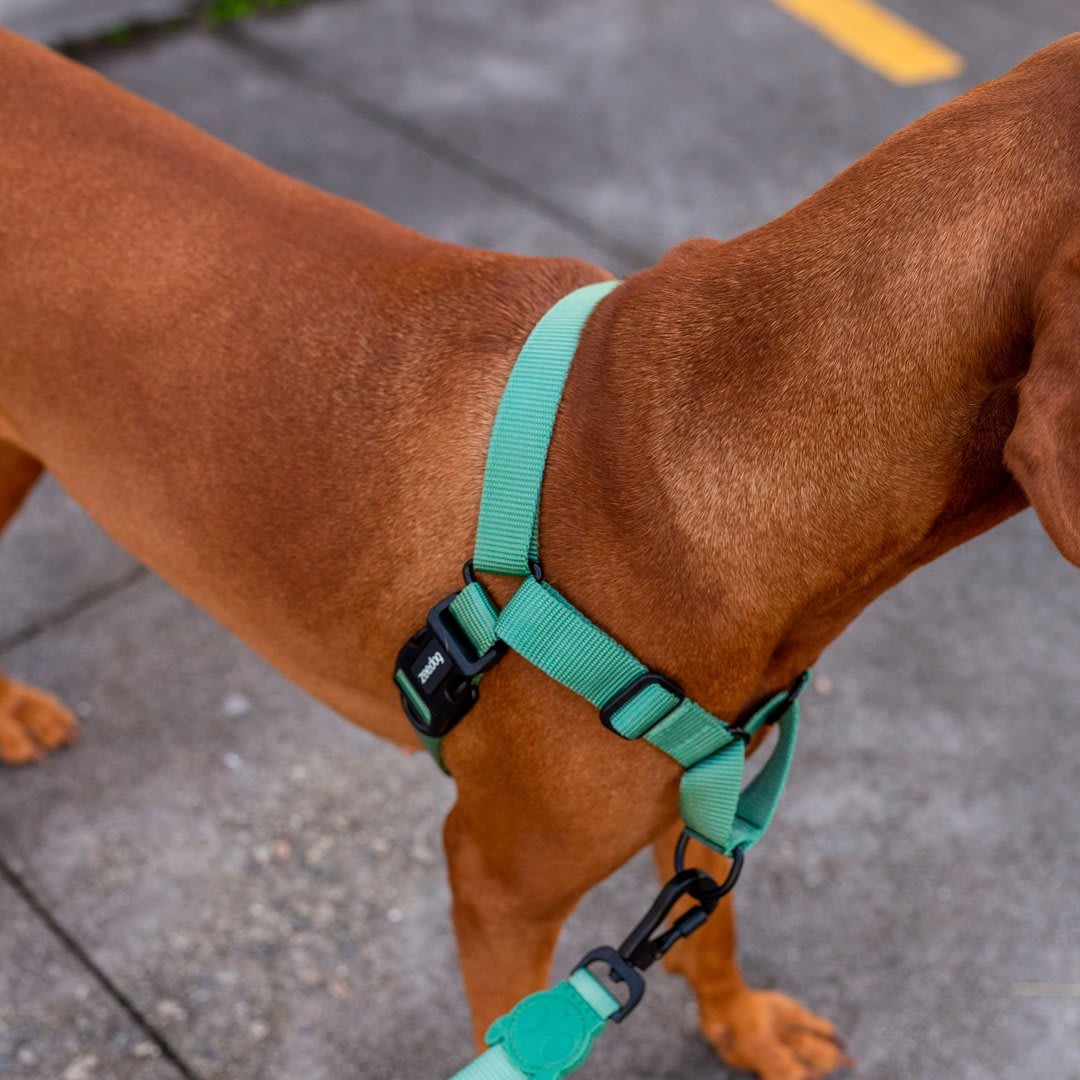 ZEEDOG SOFT WALK HARNESS ARMY2