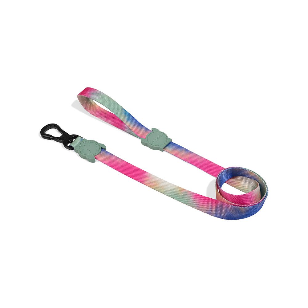 ZEEDOG CORREA BLISS1