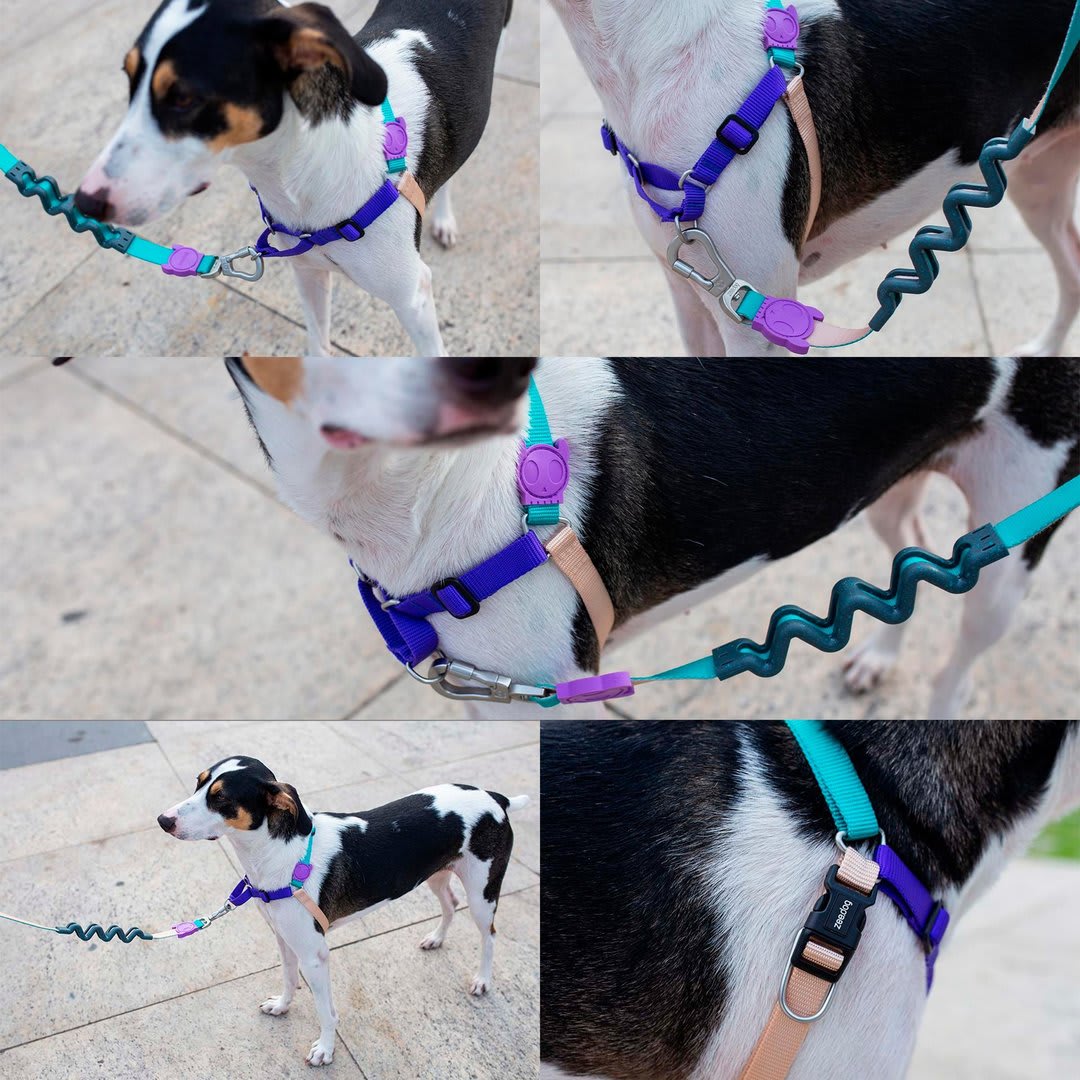 ZEEDOG SOFT WALK HARNESS BOOGIE2
