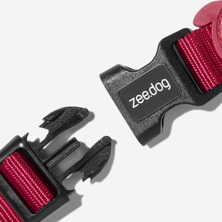 ZEEDOG COLLAR BORDEAU4